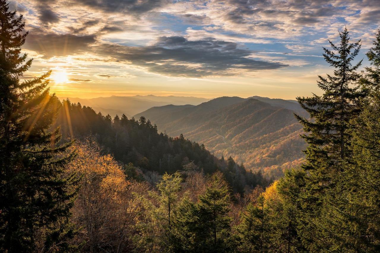 비둘기 포지 Postcard View Whispering Pines 441 아파트 외부 사진